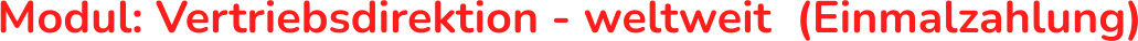 Modul: Vertriebsdirektion - weltweit  (Einmalzahlung)