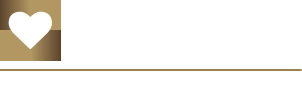 EROTIK STARTUP PROGRAMM   SEXXY